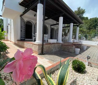 Peschici House | Villa Bianca: Pet-Friendly Retreat with Top Guest Reviews