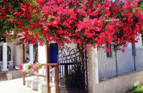 Peschici House | Villa Bianca: Pet-Friendly Retreat with Top Guest Reviews