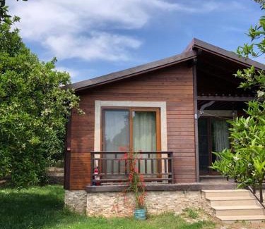 Cirali Resort | Oceanfront Villa Bilge: Rated 9/10, Family-Friendly Retreat