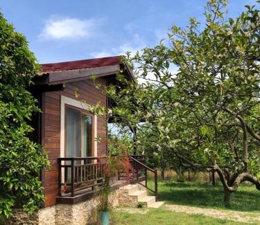 Cirali Resort | Oceanfront Villa Bilge: Rated 9/10, Family-Friendly Retreat