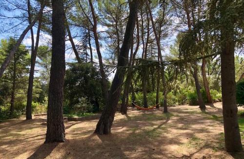 La Bastide-des-Jourdans Villa | Villa Bois Romay: Relax by the Pool with Tennis & Pétanque