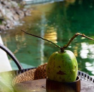 Itacare Villa | Discover Villa Botanic Garden: Top-Rated & Pet Friendly Stay