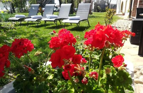 Riforano House | Enjoy Villa Bottera with Jacuzzi & Spa in Cuneo Langhe