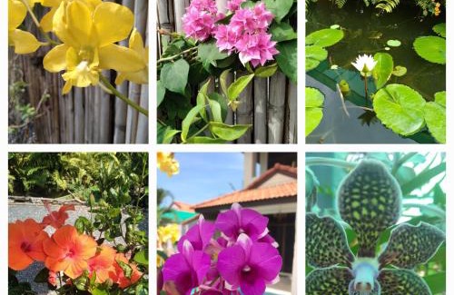 Ko Lanta House | Guest Rated Villa MILTONIA: Family-Friendly with Pool