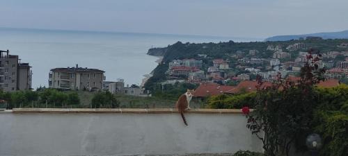 Byala House | Unforgettable Stay at Villa Byala Grape House with Ocean Views