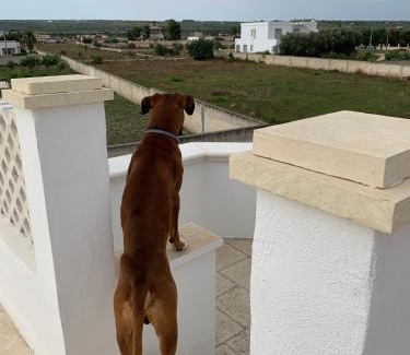 San Pietro in Bevagna Villa | Family-Friendly Villa Calypso: Pet Welcoming Getaway