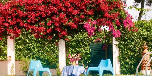 Fonte de Sesimbra House | Cozy Villa Canto da Lua with Oceanfront Views & Pool