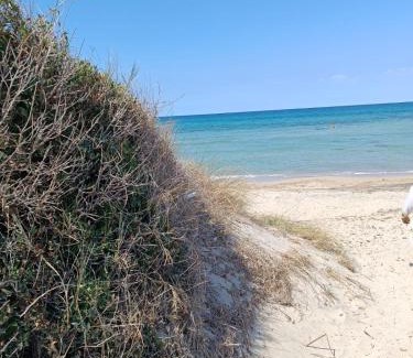 Fasano House | Villa Capitani: Oceanfront Retreat with Exceptional Reviews