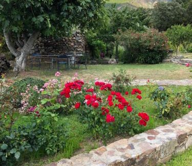 Galeria Bed & Breakfast | Villa Capraghjese: Pet-Friendly Retreat with 9.2/10 Rating