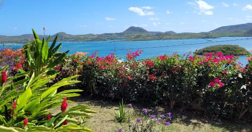 Le Marin Villa | Beautiful Villa with Ocean View and Pool in the Caribbean