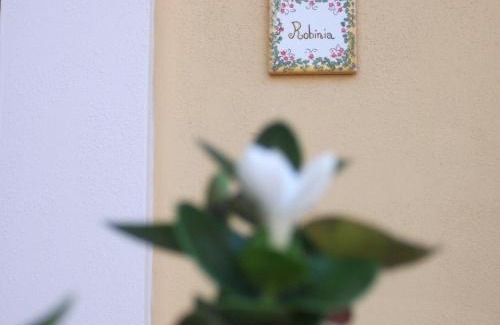 Scillichenti Apartment | Oceanfront Villa Carati: Pet-Friendly Retreat with Breakfast