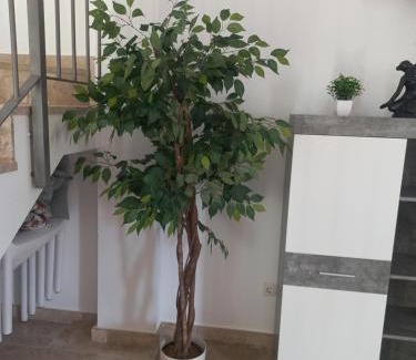 Los Gavilanes House | Ocean View Retreat at Villa Chris - Pet & Child Friendly