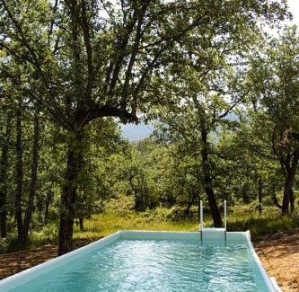 La Celle Villa | Villa Cinsault: Your Ideal Retreat in Provence Verte