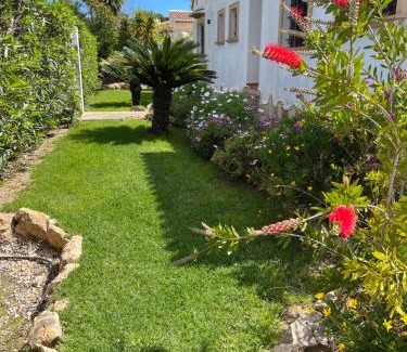 Media Luna Villa | Villa Clara: Beachside Retreat with Pool & Ocean Views