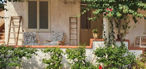 San Lorenzo House | Villa Clarissa in San Lorenzo: Oceanfront Pet-Friendly Retreat