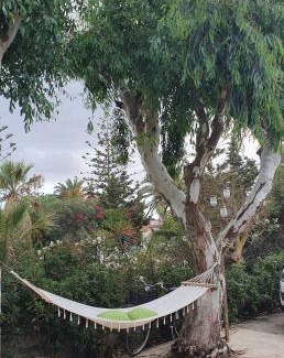 San Lorenzo House | Villa Clarissa in San Lorenzo: Oceanfront Pet-Friendly Retreat