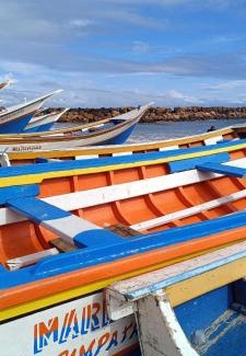 Margarita Island House | Discover Villa Cococaribic: Pet-Friendly Oasis by the Ocean