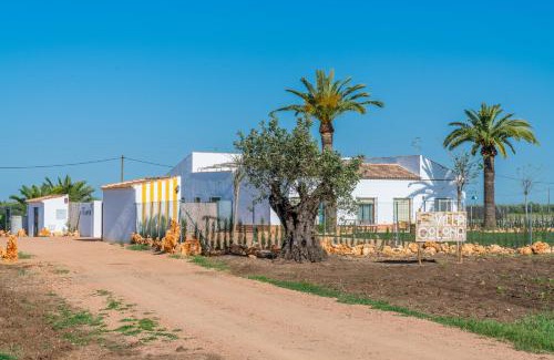 La Carlota Villa | Discover Villa Colona: Oceanfront Retreat with 9.7/10 Rating