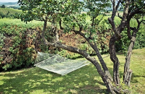 Corbara Villa | Exclusive Villa with Private Pool in Scenic Umbria