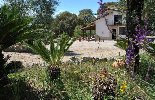 Itri House | Villa Cycas: Relax by the Ocean with Family and Pets