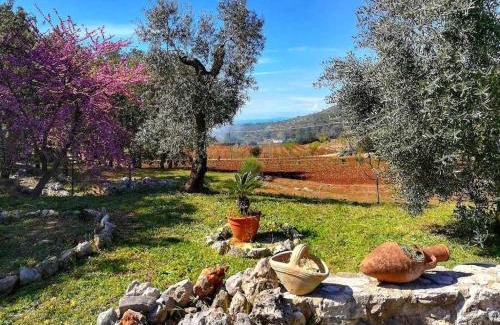 Itri House | Villa Cycas: Relax by the Ocean with Family and Pets