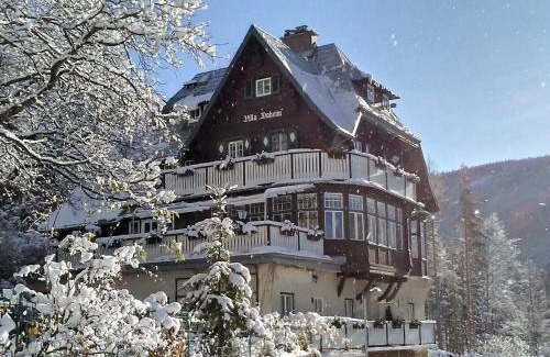 Semmering Apartment | Discover Villa Daheim Semmering: Pet & Child Friendly Retreat
