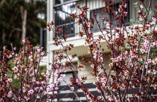 Margaret River House | Villa Dante: New Townhouse Steps from Downtown Attractions