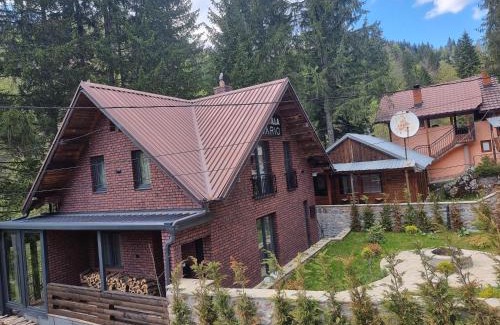 Vitomiricë Villa | Villa Dario