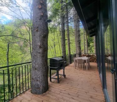 Vitomiricë Villa | Villa Dario