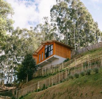 Caparao National Park Cabin | Pet-Friendly Villa di Madeira with Spa and Family Amenities