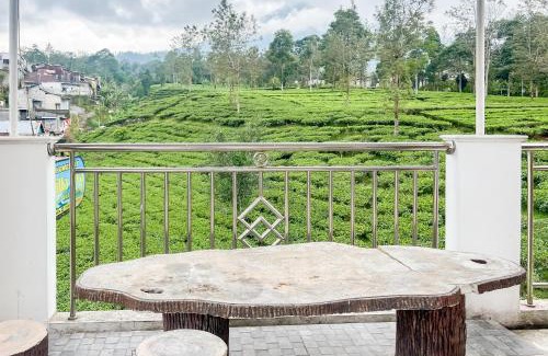 Kejajar Hotel | Villa Diva Tambi Mitra RedDoorz