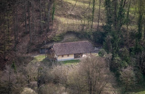 Zavrc Villa | Villa Dolina Miru: Pet-Friendly Comfort for Families