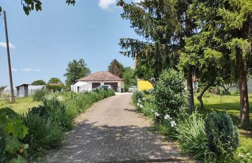 Brdovec House | Discover Villa Drenje: Family and Pet-Friendly Retreat