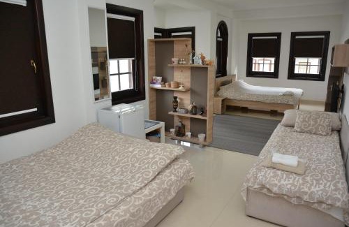 Varosh Apartment | Villa Dudanov: Oceanfront Retreat with Private Beach Access