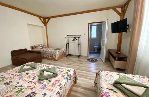 Velyka Byyhan House | Villa “Eleon”: Guest Rated 9/10 with Family-Friendly Amenities