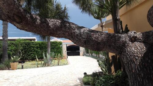 Capilungo Villa | Villa Eleonora: Poolside Retreat with Perfect 10 Rating