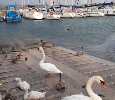 Calvagese della Riviera Apartment | Family-Friendly Villa Elisa: Nature Retreat with Pets Welcome