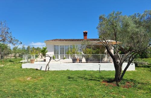 Fazana Apartment | Villa Elizej: Guest Rated 10/10 & Pet Friendly Retreat