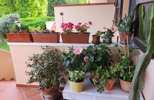 Quartiere Oltre Savio Bed & Breakfast | Experience Villa Elsa: Highly Rated Stay Near Ippodromo