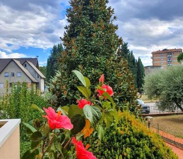 Quartiere Oltre Savio Bed & Breakfast | Experience Villa Elsa: Highly Rated Stay Near Ippodromo