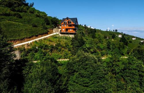 Cayeli House | Villa Emir