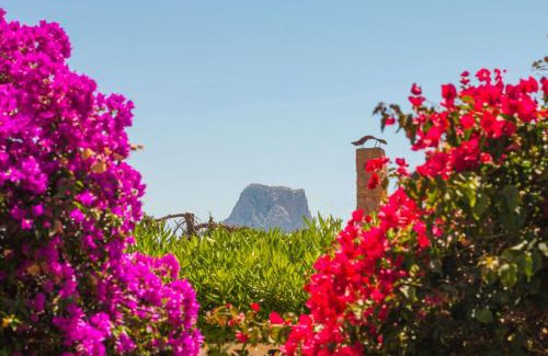 La Canuta Villa | Discover Villa Erik: A Family-Friendly 4-Star Retreat