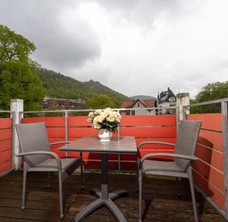 Bad Harzburg House | Family-Friendly Villa Feise with Breakfast Included