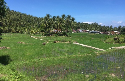 Kawayan House | Cozy Villa Felipa: Family-Friendly Stay in Biliran