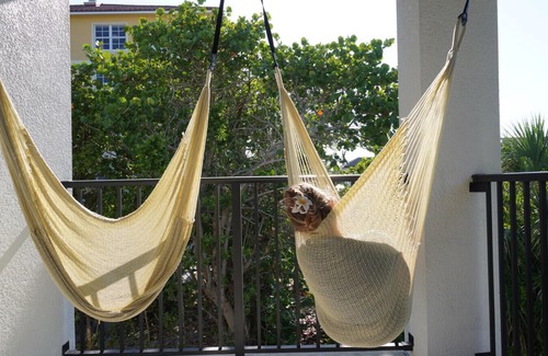 Crescent Beach Villa | Pet-Friendly Oceanfront Condo with Guest Rated 10/10