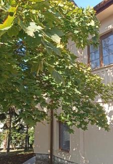 Fonyod Apartment | Villa Fonyód: Guest Rated 10/10, Pet & Child Friendly