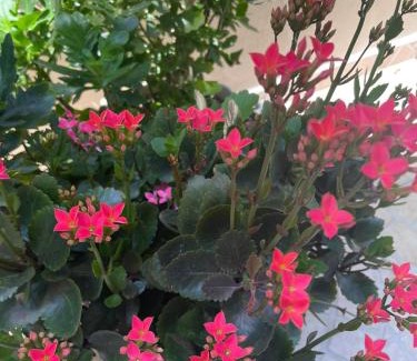 Kiten House | Budget-Friendly Villa Gergana in Kiten: Child-Friendly Escape