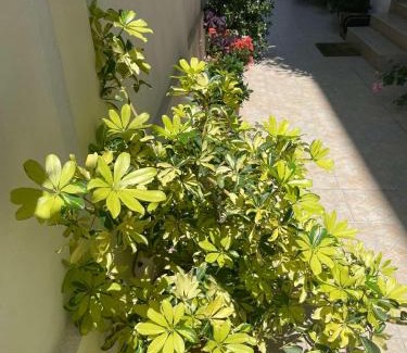 Kiten House | Budget-Friendly Villa Gergana in Kiten: Child-Friendly Escape