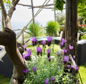Praiano House | Villa Gianlica: Discover a 4-Star Retreat with Pool & Dining