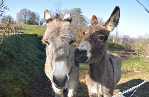 Bussiere-Badil House | Villa Gites: Family-Friendly Retreat with Pool in Dordogne